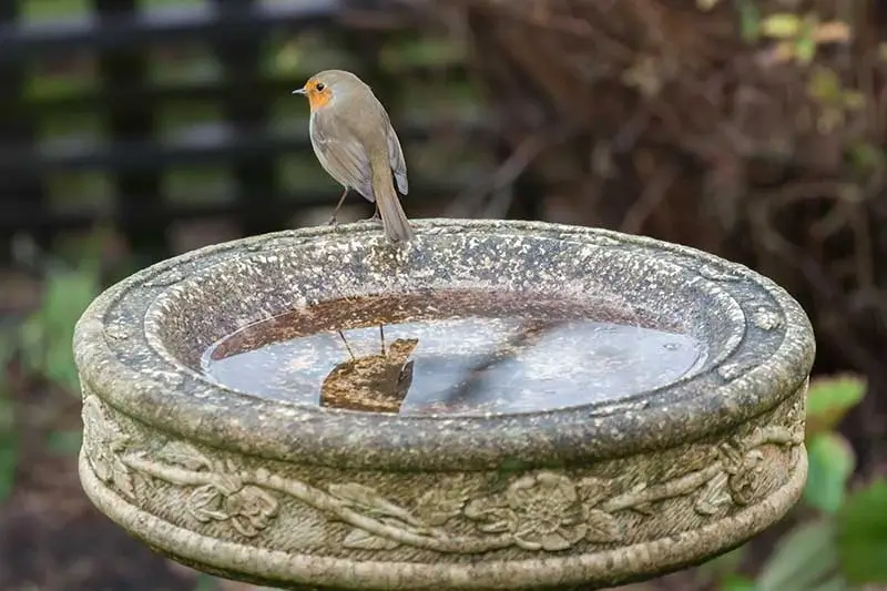 Non-Toxic Concrete Sealer For Bird Bath UK